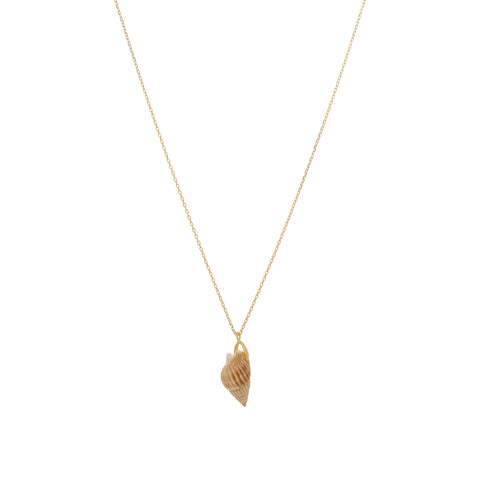 Collana Conchiglia