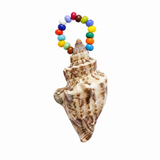 Ciondoli Conchiglie Perline